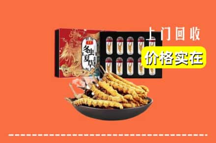 唐山市路南回收冬虫夏草